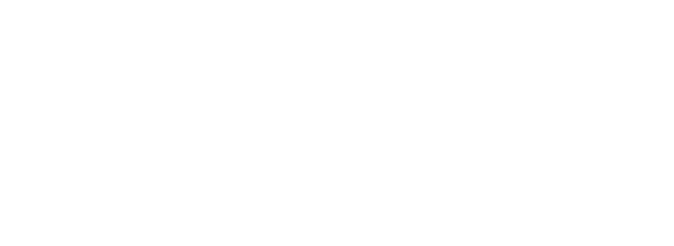 Logo France Covoit - La prime covoiturage pour tous.